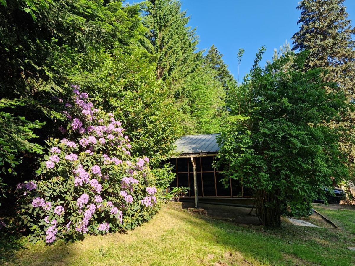 Chalet De La Foret 1 A 6 Pers Saint-Sauveur  Ngoại thất bức ảnh
